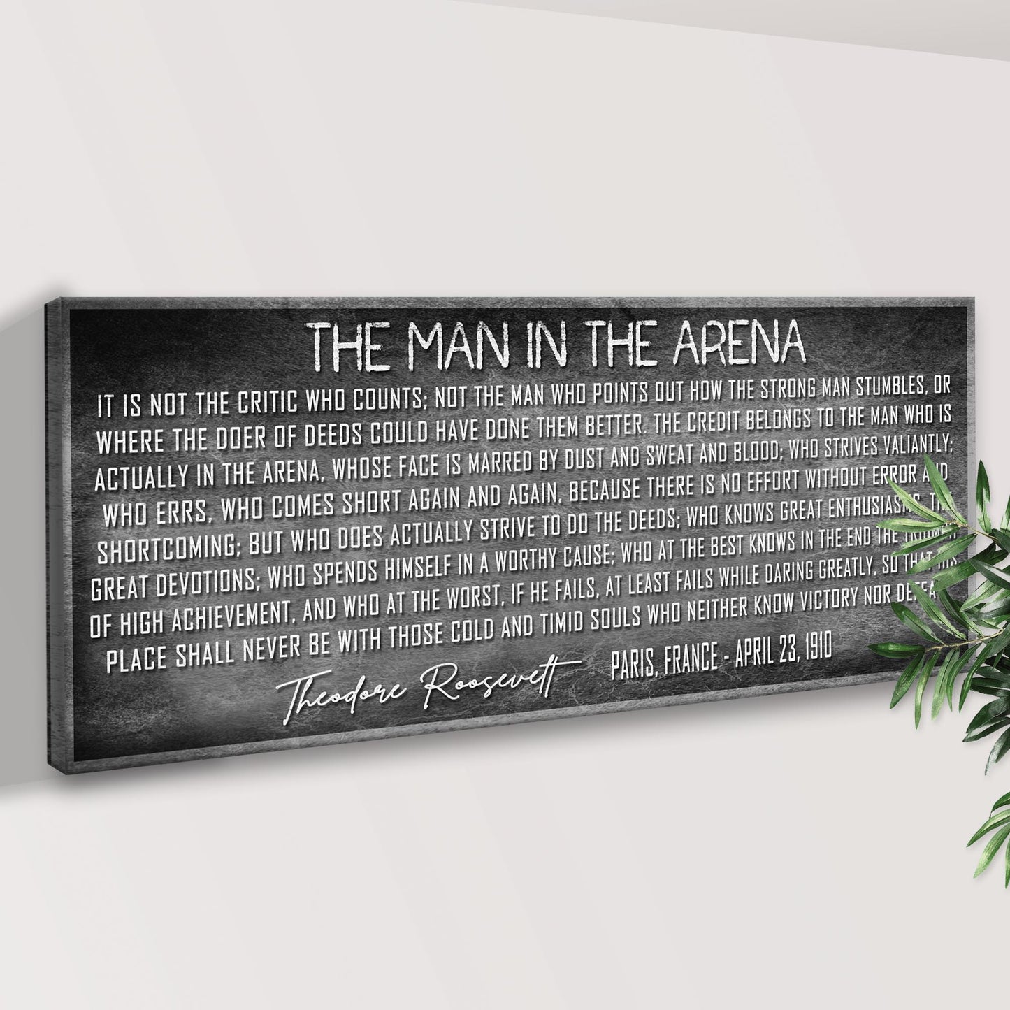 Man in the Arena Quote Canvas Wall Art VII