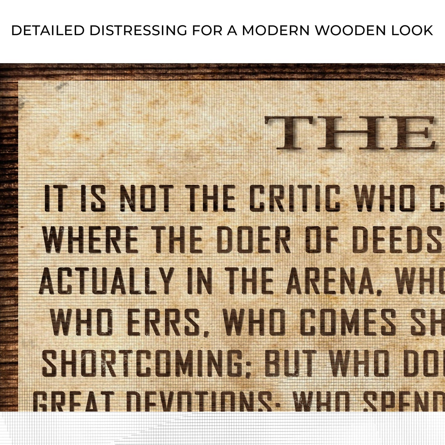 Man in the Arena Quote Canvas Wall Art V