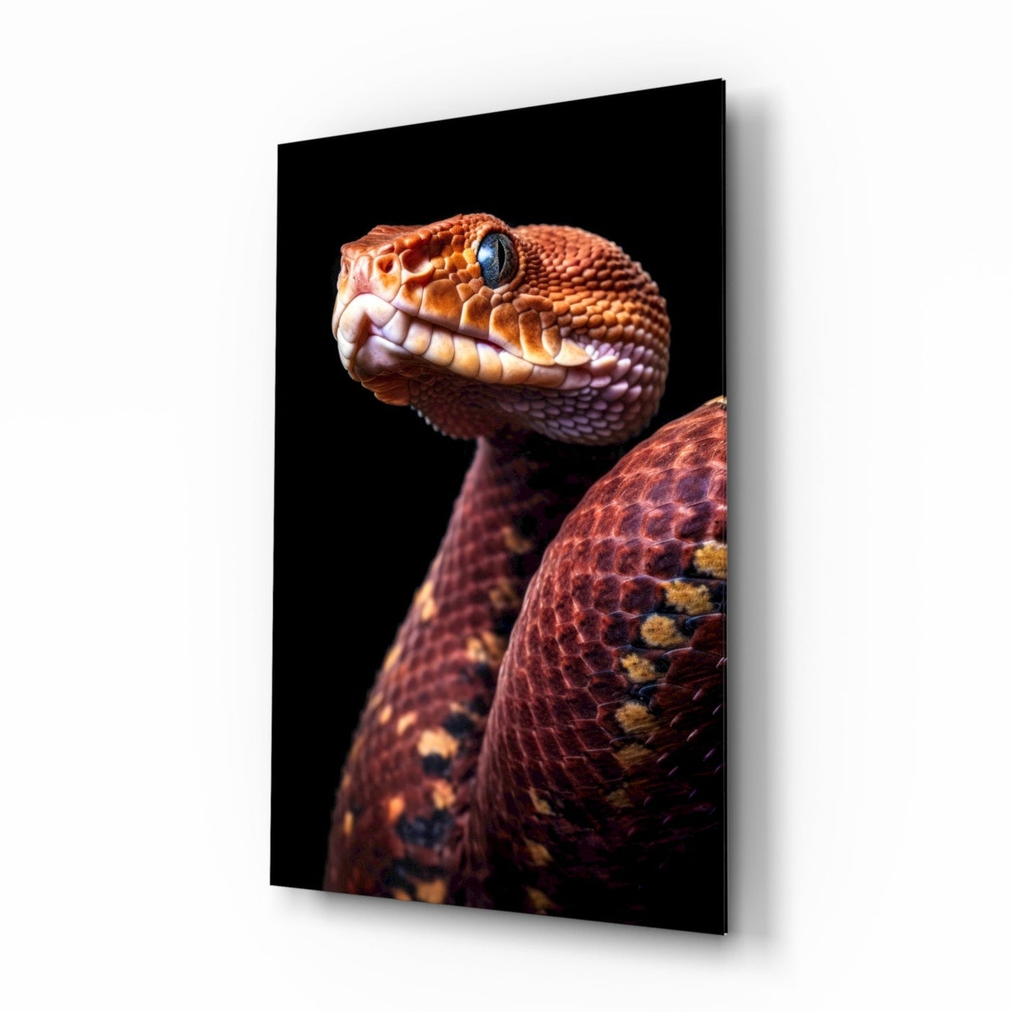 Red Stare Viper Glass Wall Art