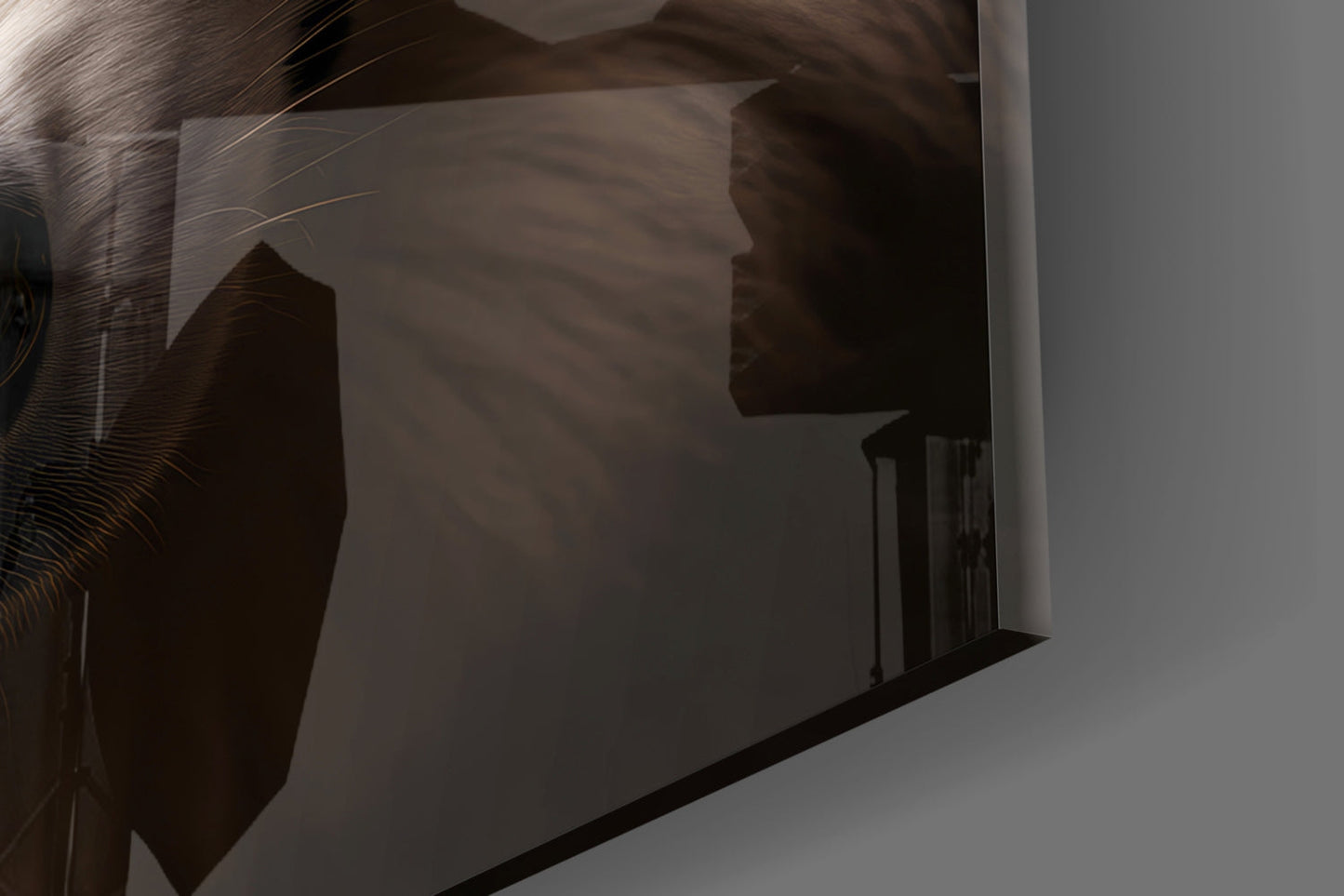 White Wolf's Gaze Glass Wall Art Portrait Print
