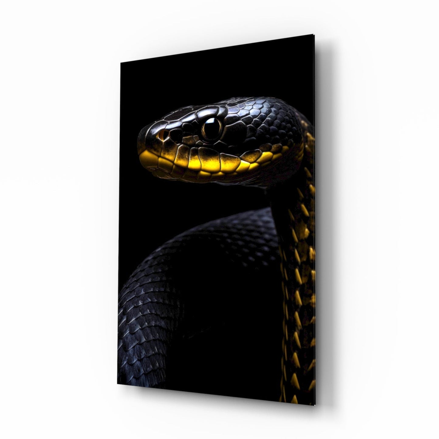 Black and Yellow Viper Glass Wall Art