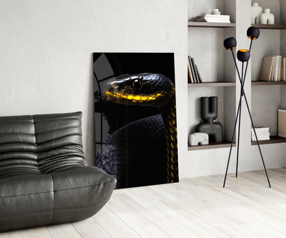 Black and Yellow Viper Glass Wall Art