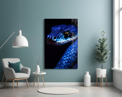 Blue Viper Glass Wall Art
