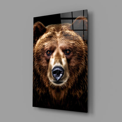 Grizzly Bear Glass Wall Art
