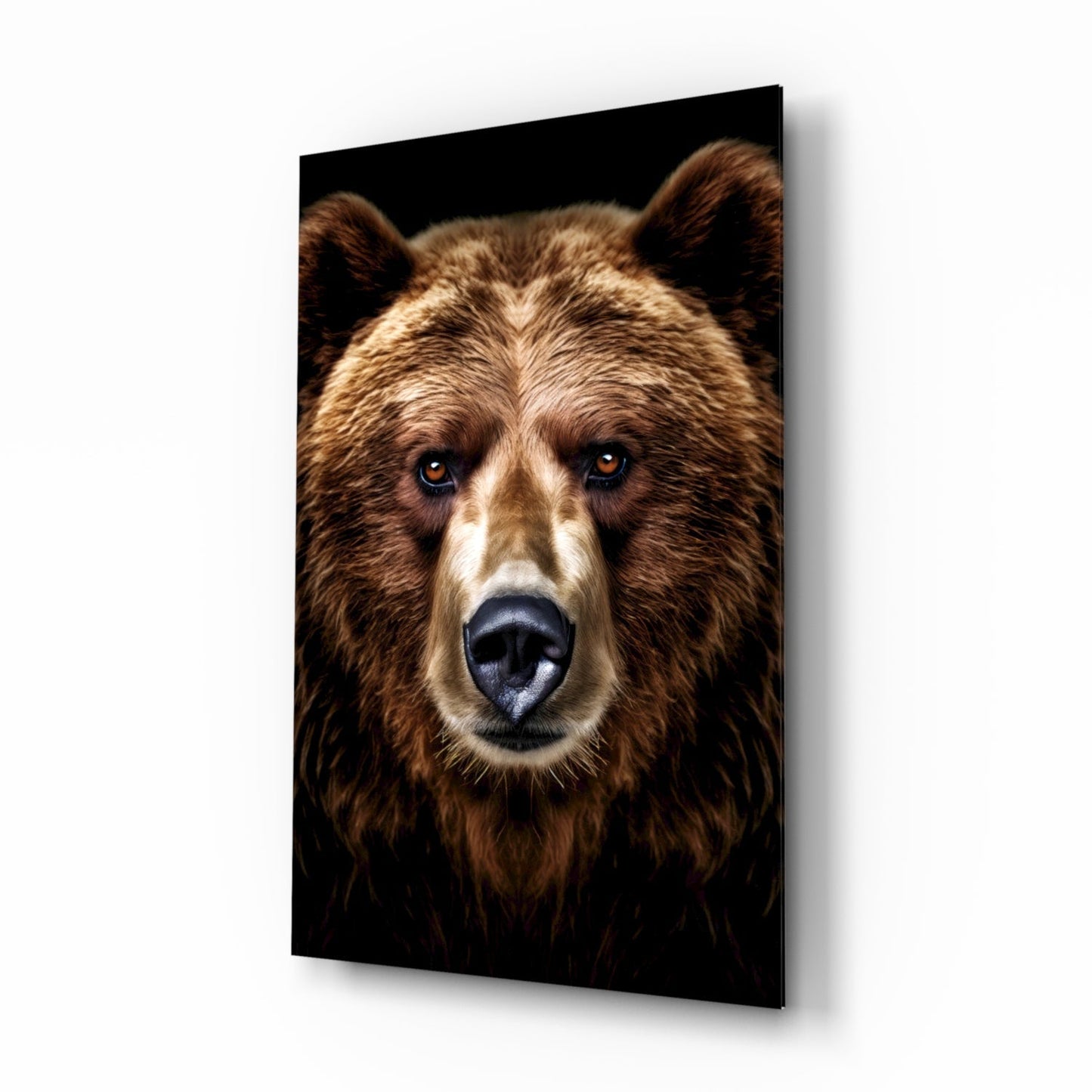 Grizzly Bear Glass Wall Art