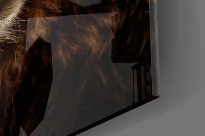 Grizzly Bear Glass Wall Art