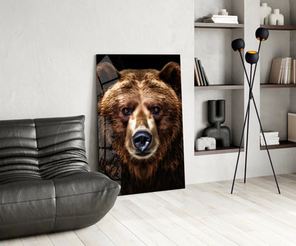 Grizzly Bear Glass Wall Art