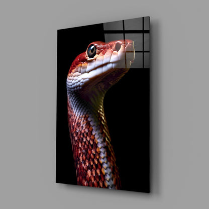 Eyes of the Fiery Serpent Glass Wall Art