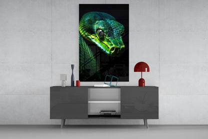 Emerald Green Viper Glass Wall Art