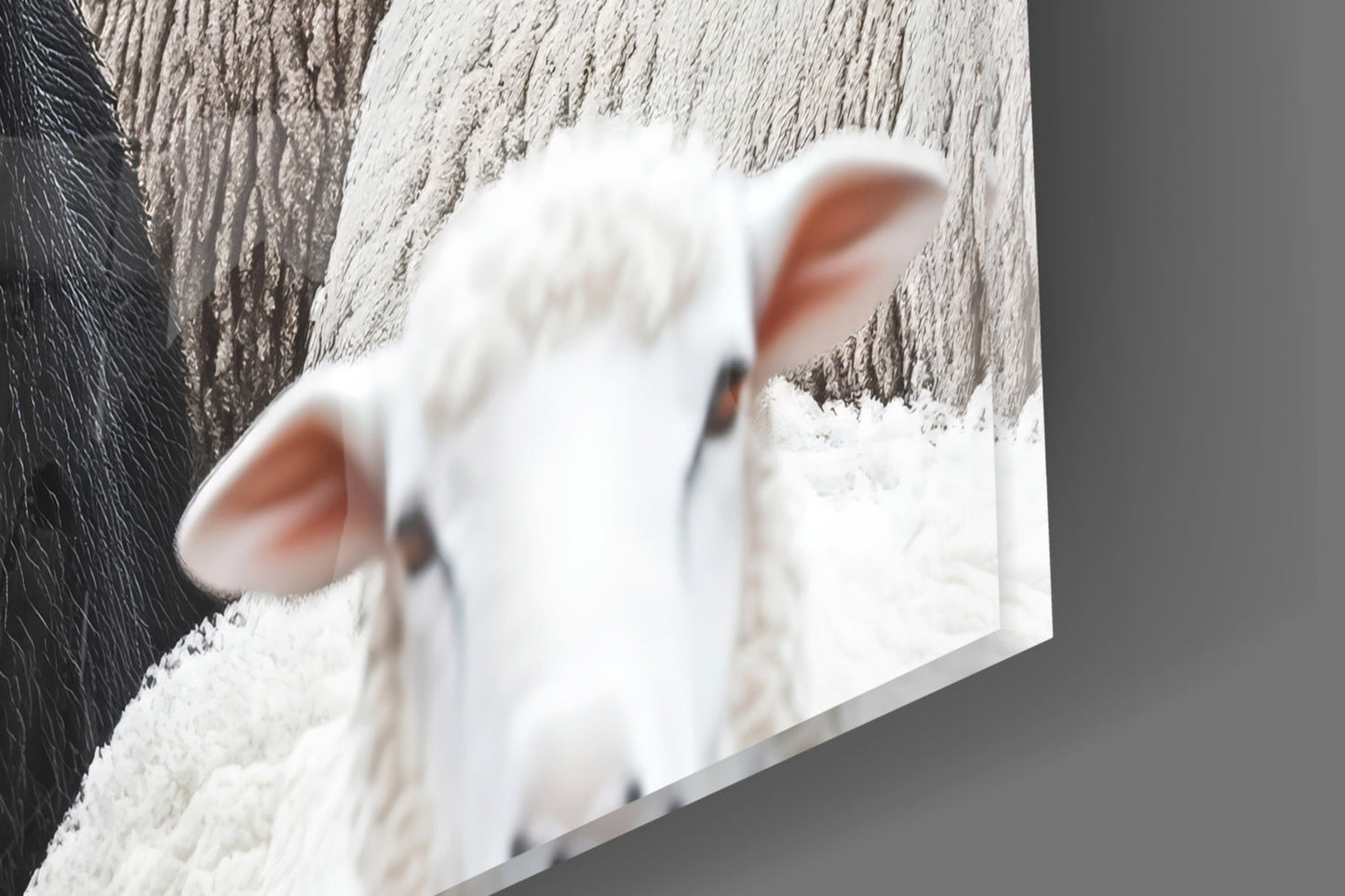 Black Sheep in the Flock Glass Wall Art