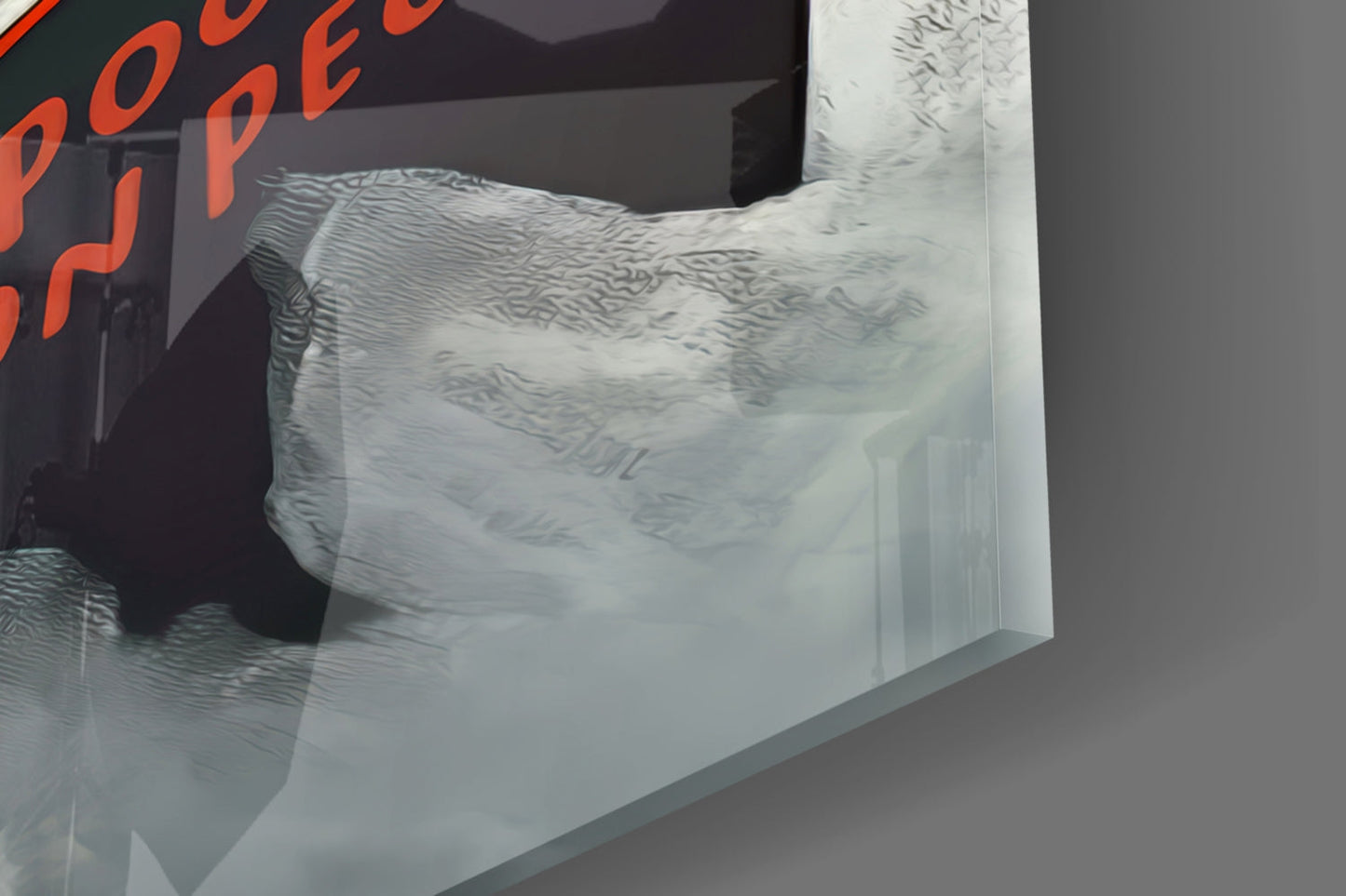Wise Seagull Glass Wall Art
