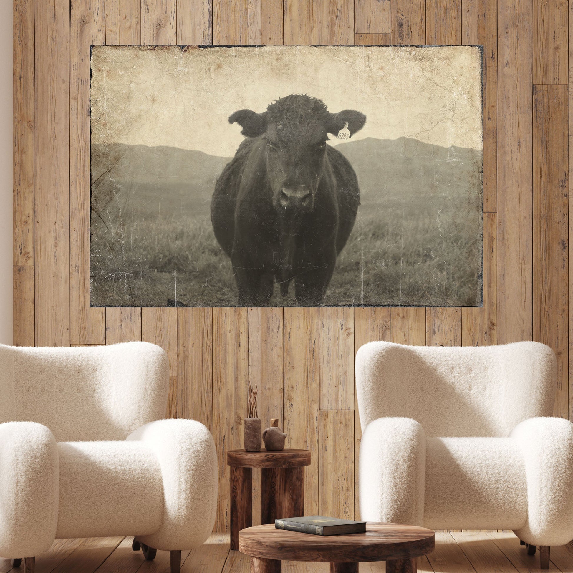 Vintage Angus cattle portrait canvas wall art, black bull on a dark background, ready to hang