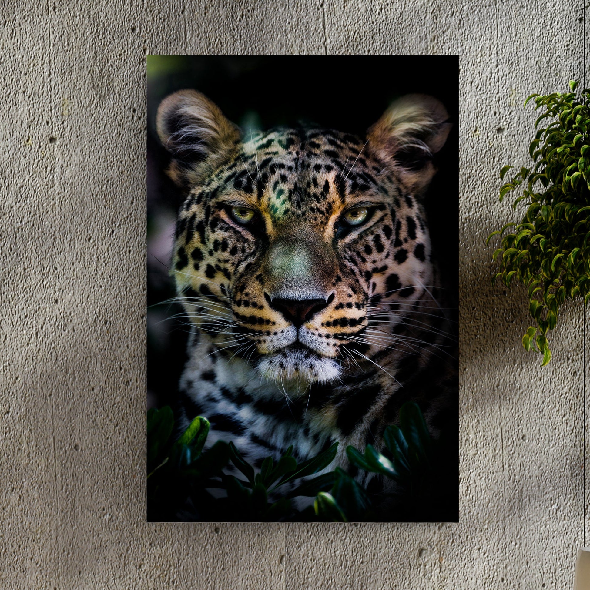 Sneaky jungle leopard portrait canvas wall art bold wildlife living room decor