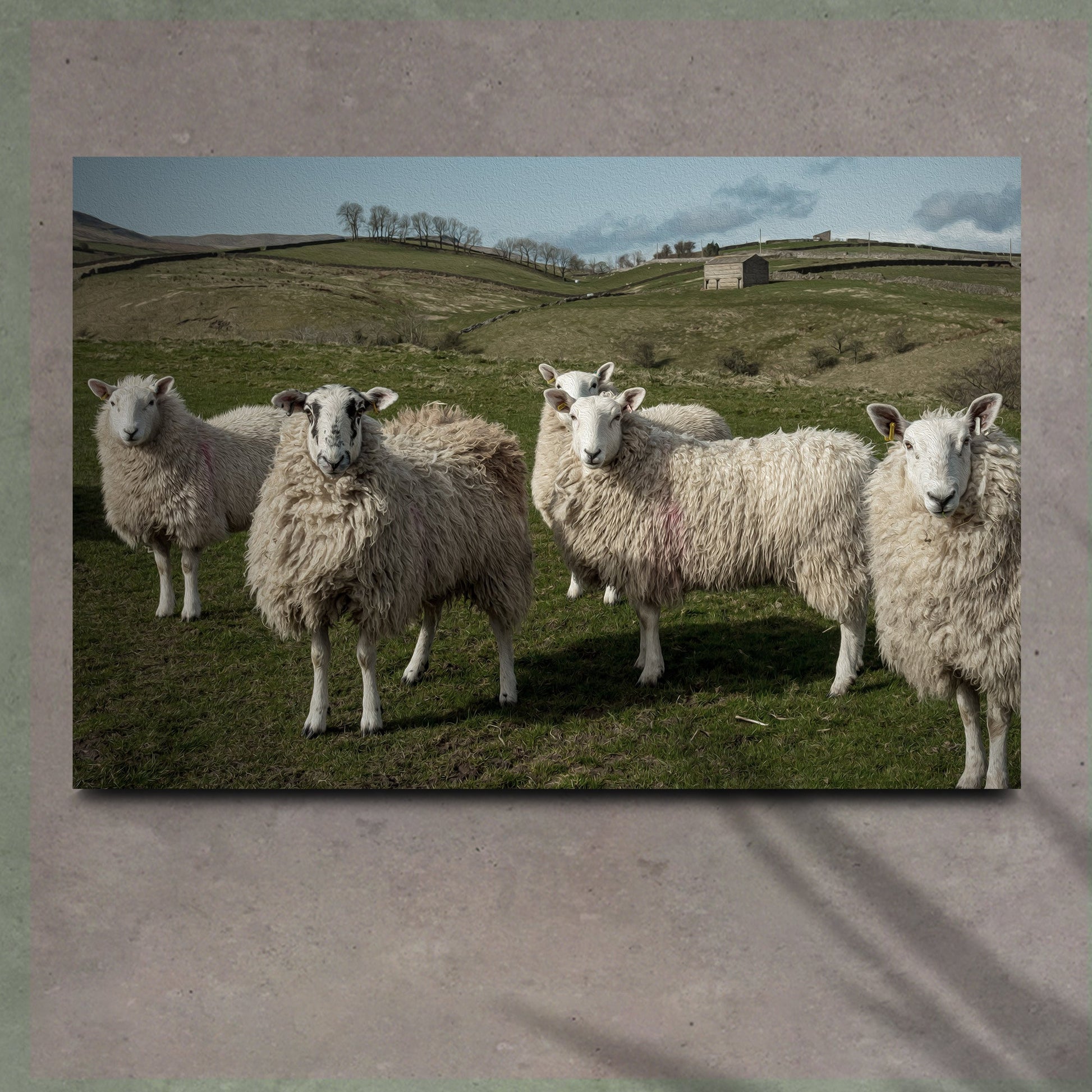 Flock of sheep canvas wall art charming farmhouse country decor