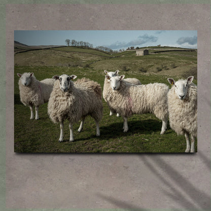 Flock of sheep canvas wall art charming farmhouse country decor