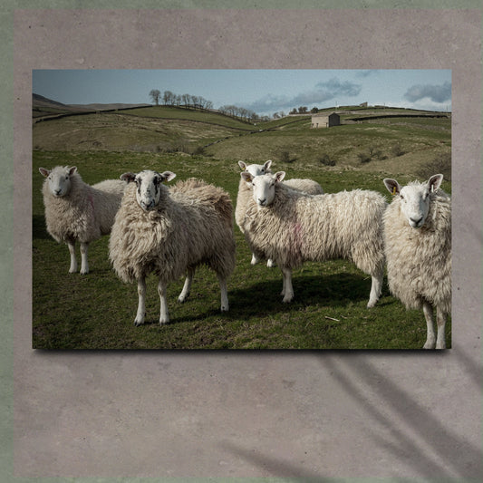 Flock of sheep canvas wall art charming farmhouse country decor