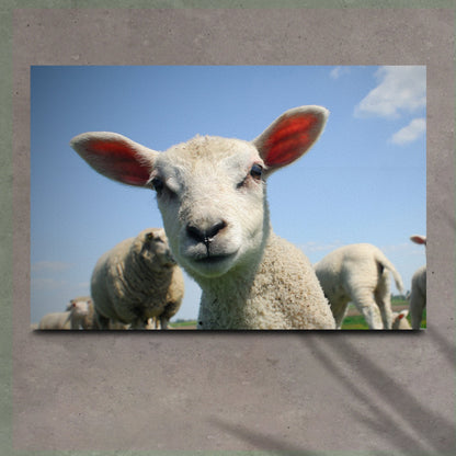 Curious lamb canvas wall art cute lamb with flowers nursery farmhouse decor