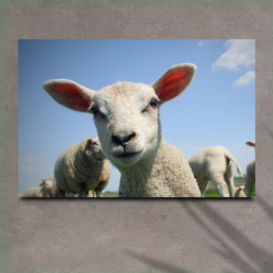Curious lamb canvas wall art cute lamb with flowers nursery farmhouse decor