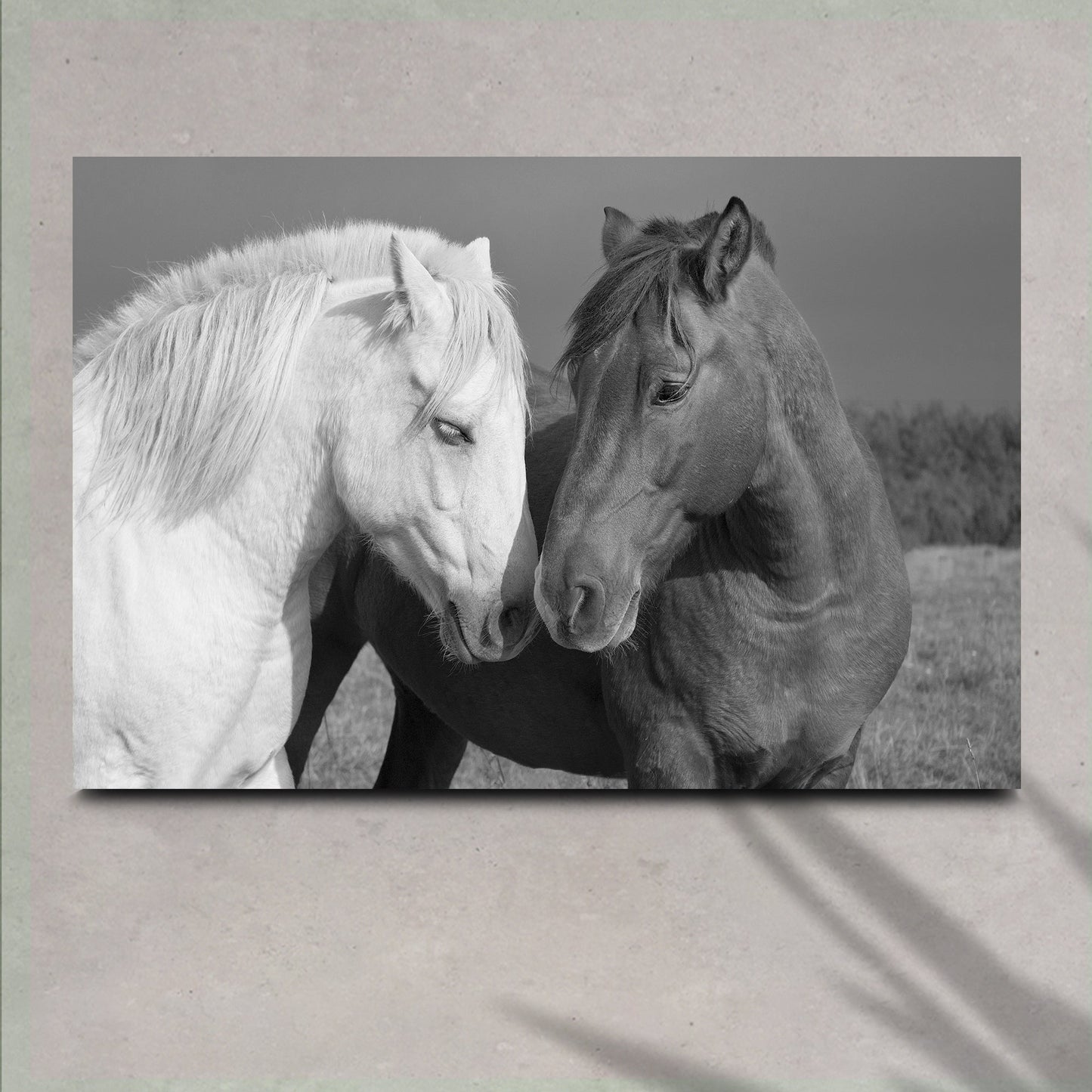 Horse love canvas wall art in black and white equestrian portrait style on gallery-wrapped canvas for farmhouse and rustic decor