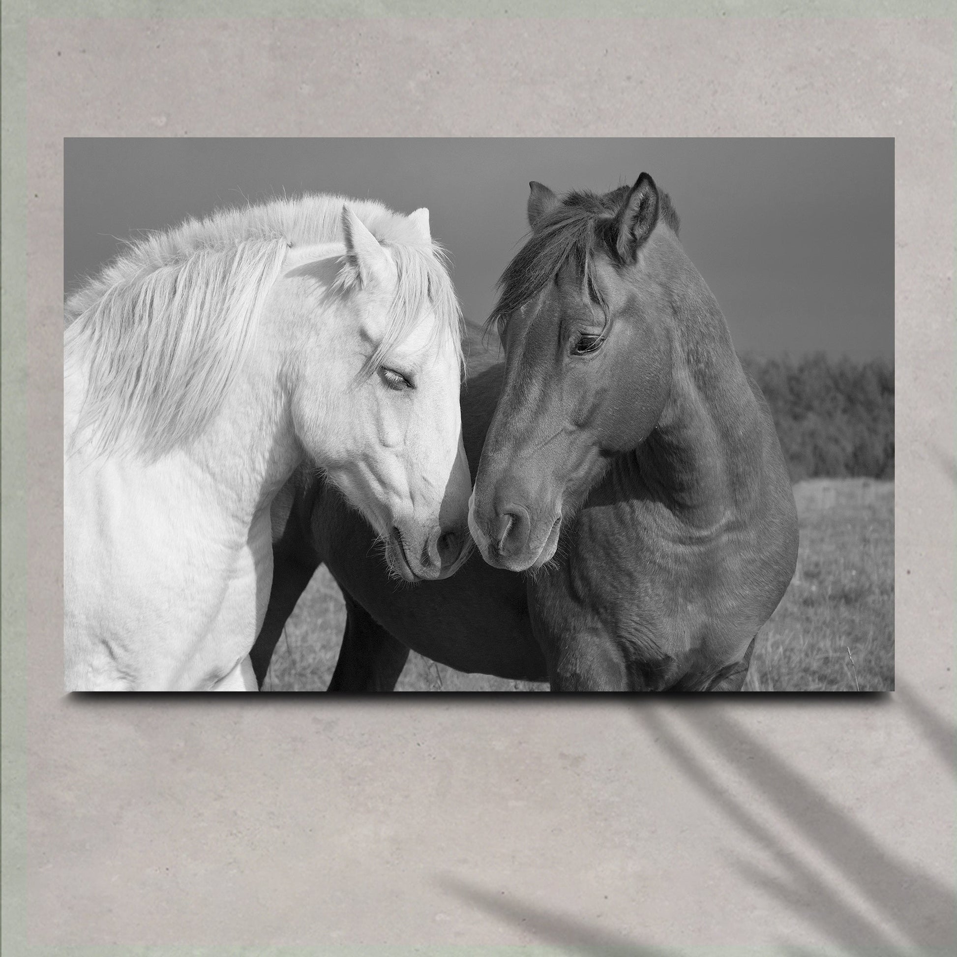 Horse love canvas wall art in black and white equestrian portrait style on gallery-wrapped canvas for farmhouse and rustic decor