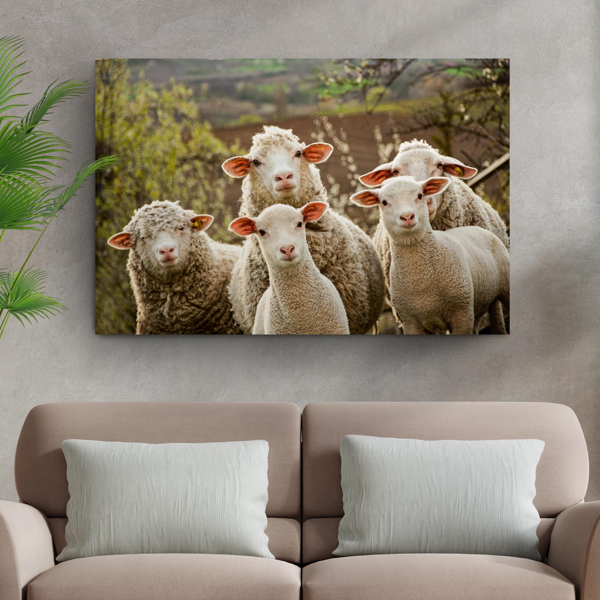 Curious sheep canvas wall art sheep on hillside pastoral farmhouse decor