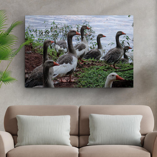 Flock of domestic geese canvas wall art farmhouse country style decor