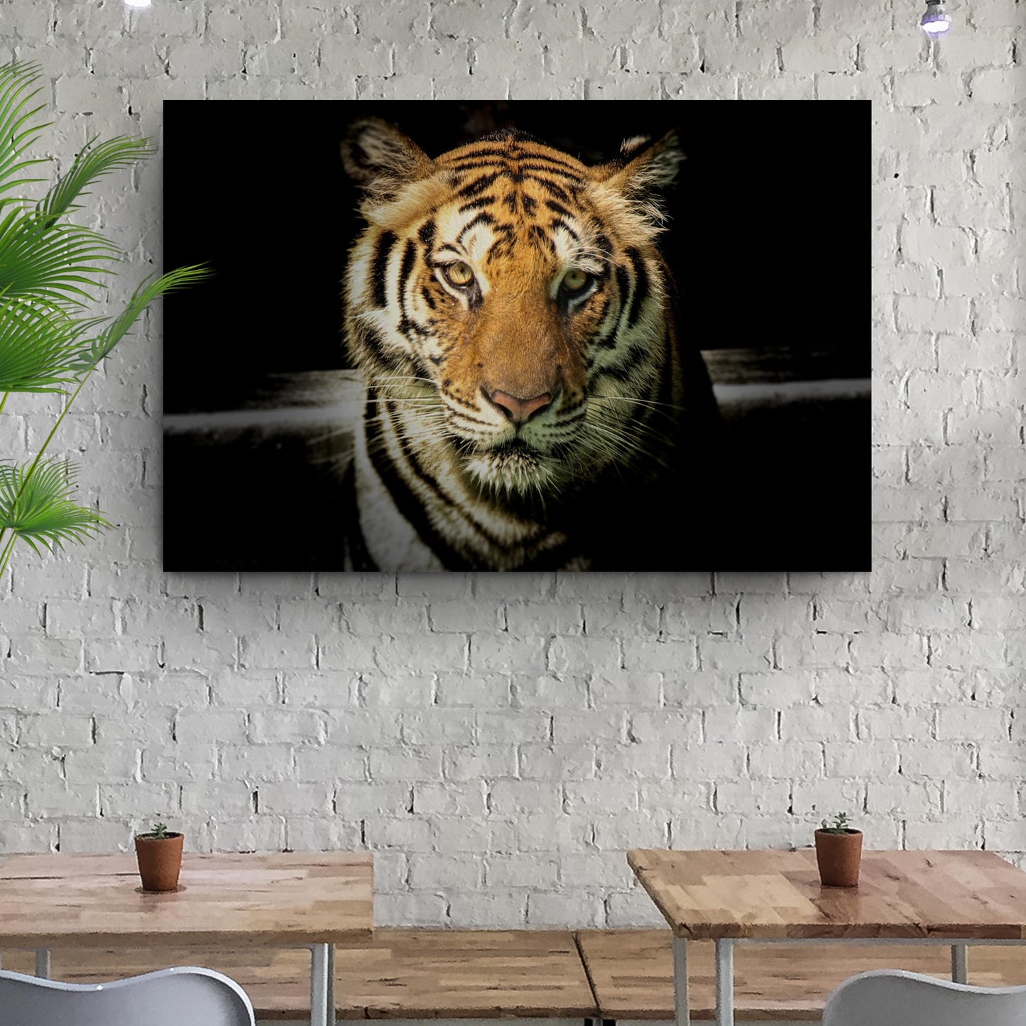 Lurking tiger in the dark canvas wall art — dramatic wildlife art, gallery-wrapped, ready to hang