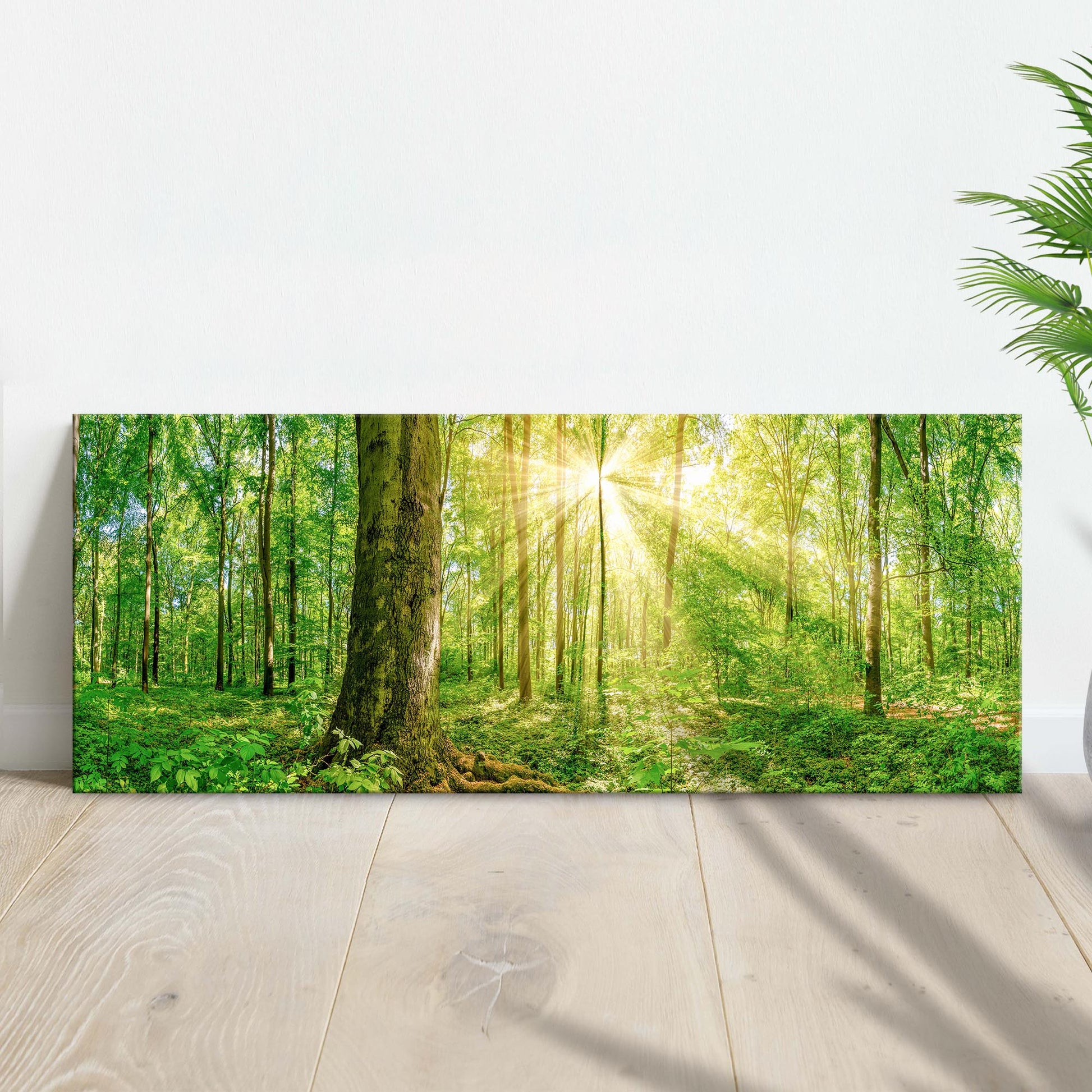 Golden sunlight rays streaming through forest trees, nature canvas wall art
