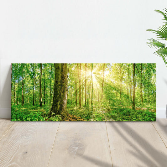 Golden sunlight rays streaming through forest trees, nature canvas wall art