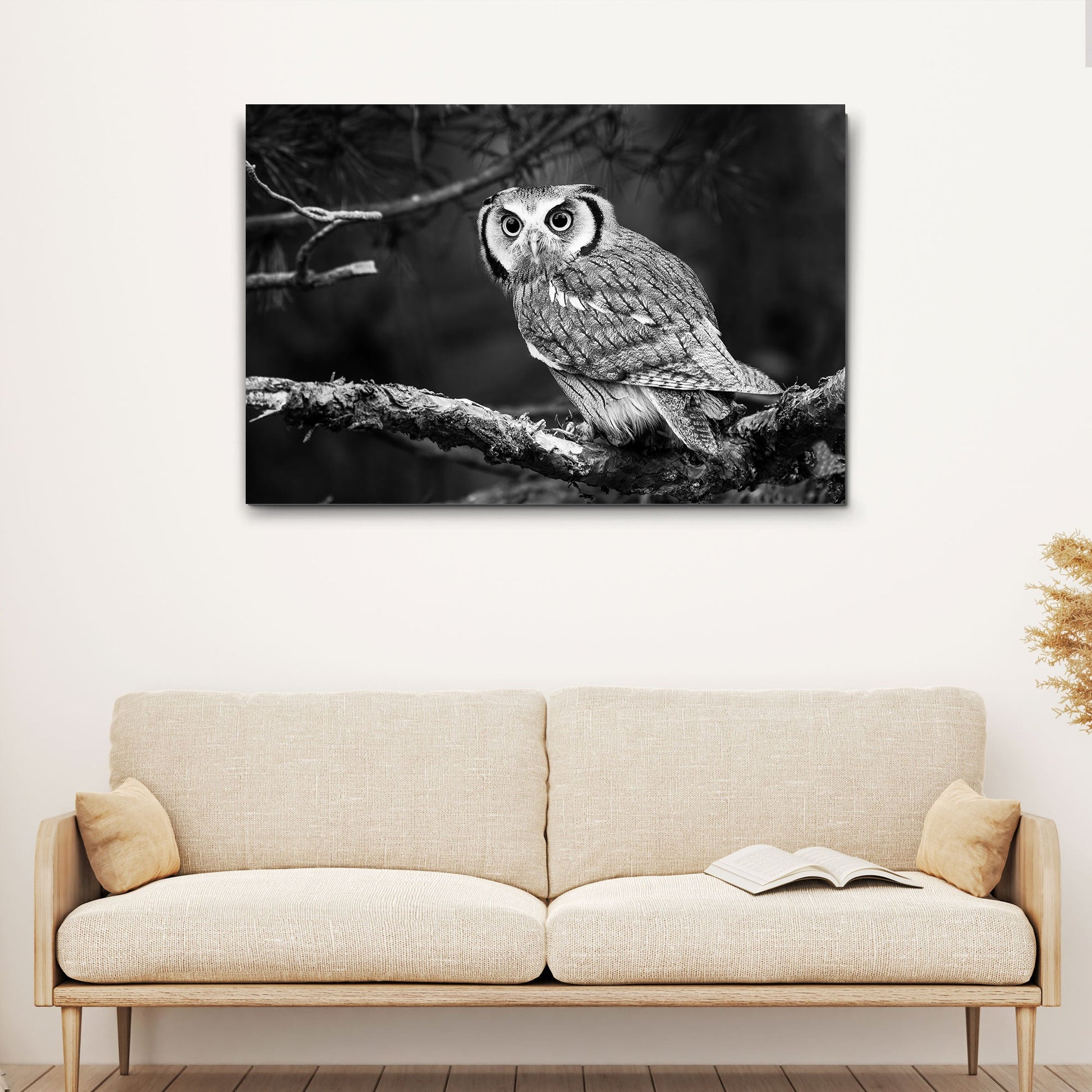 Black and white owl canvas wall art with elegant monochrome bird portrait