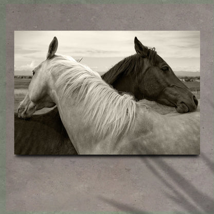 Monochrome couple horse canvas wall art in calm muted tones, ready to hang