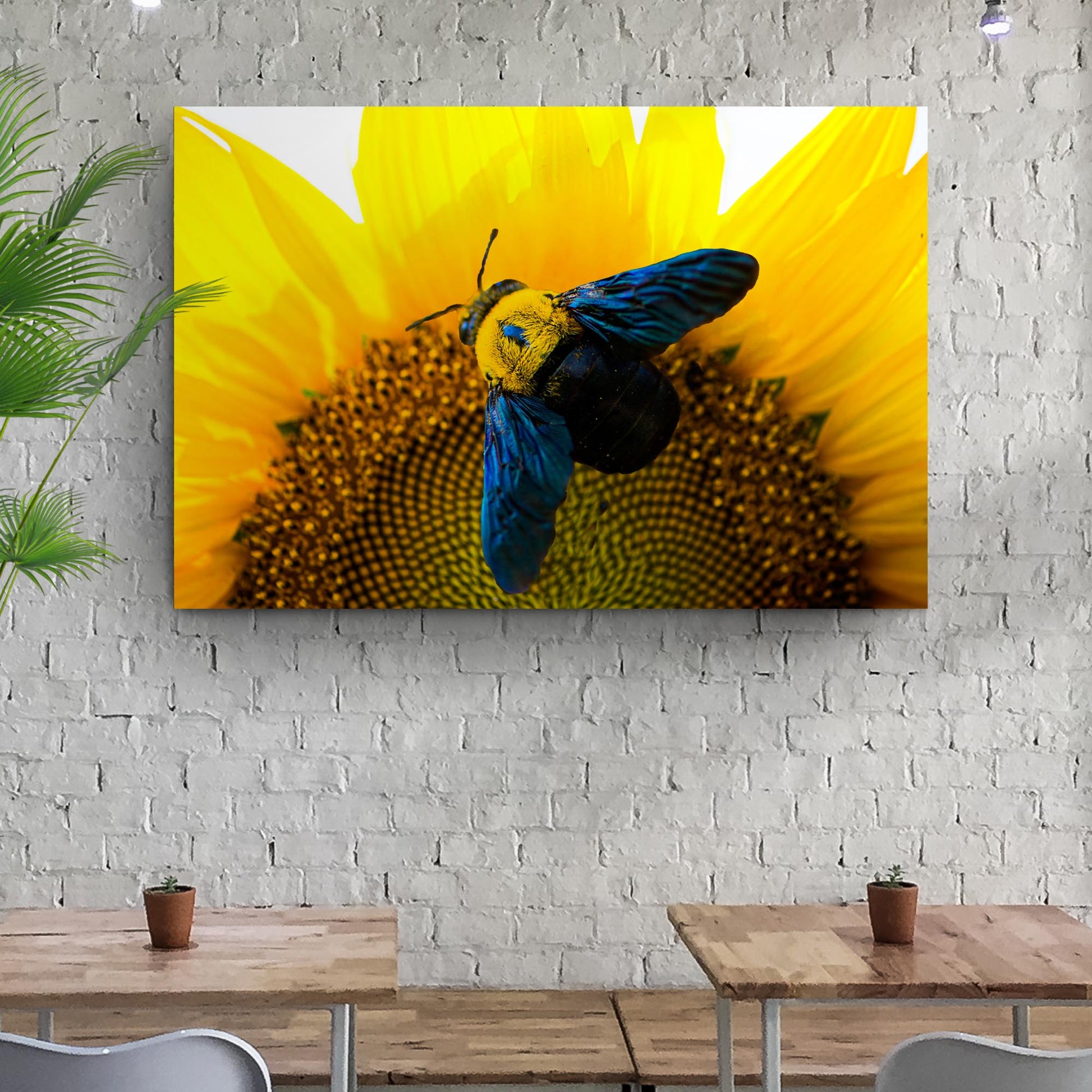 Bee and hoverfly hovering above a sunflower close-up — nature canvas wall art
