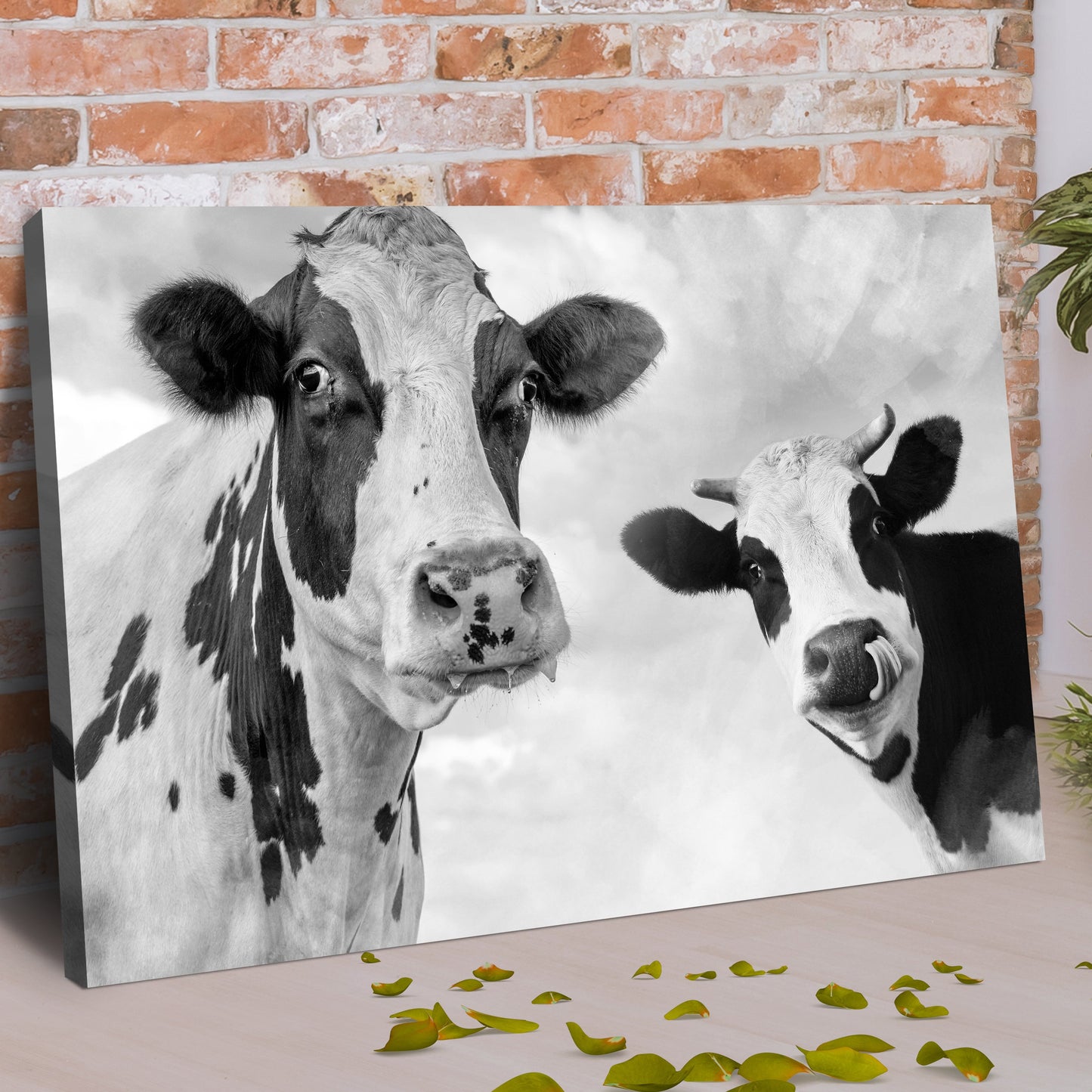 Holstein Cows Monochrome Canvas Wall Art
