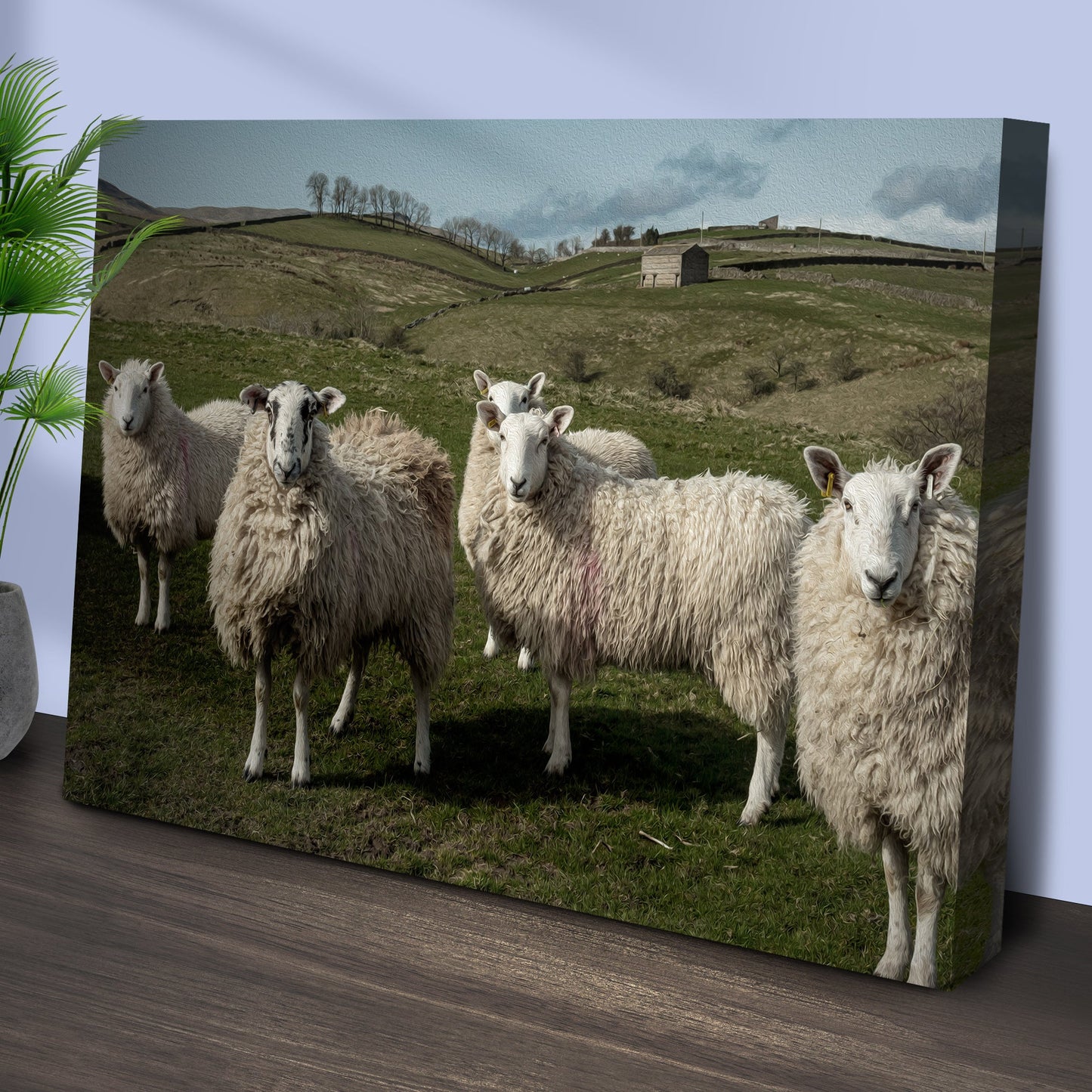 Flock of Sheep Canvas Wall Art Farmhouse Decor