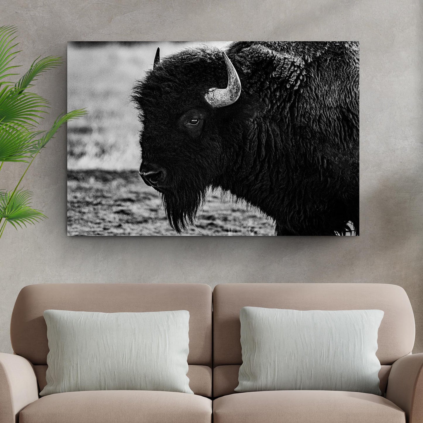 Black and white bison canvas wall art with powerful American buffalo wildlife portrait