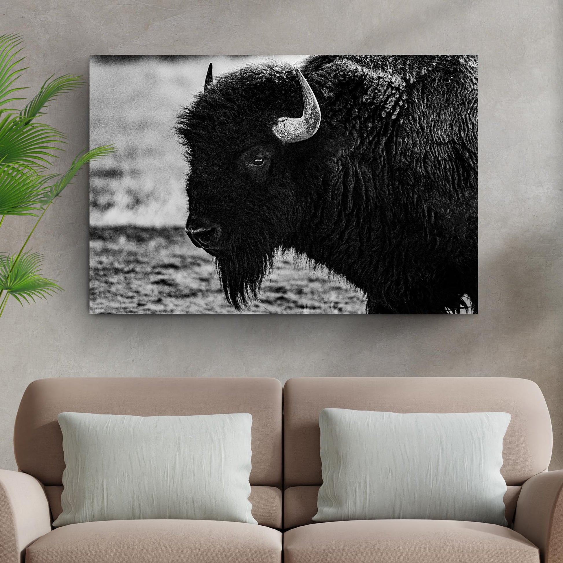 Black and white bison canvas wall art with powerful American buffalo wildlife portrait