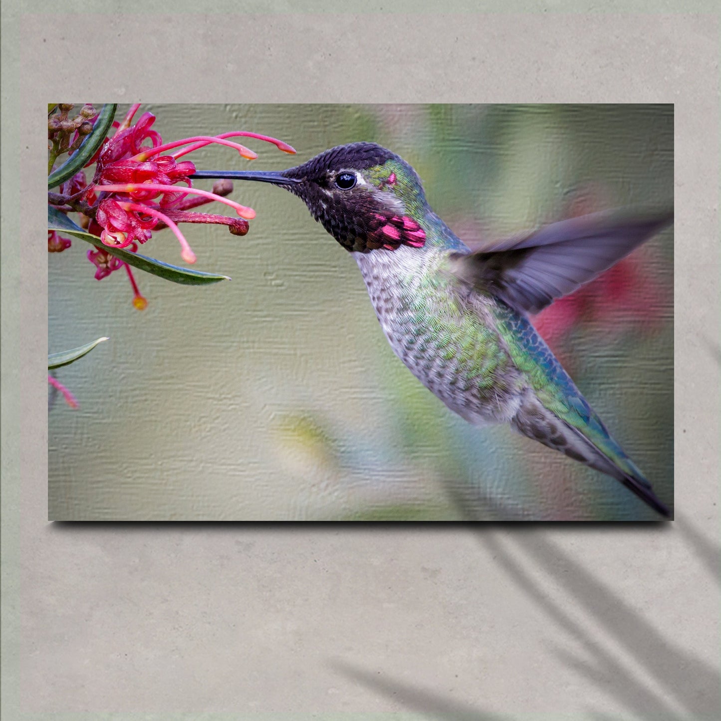 Hummingbird Spring Floral Canvas Wall Art