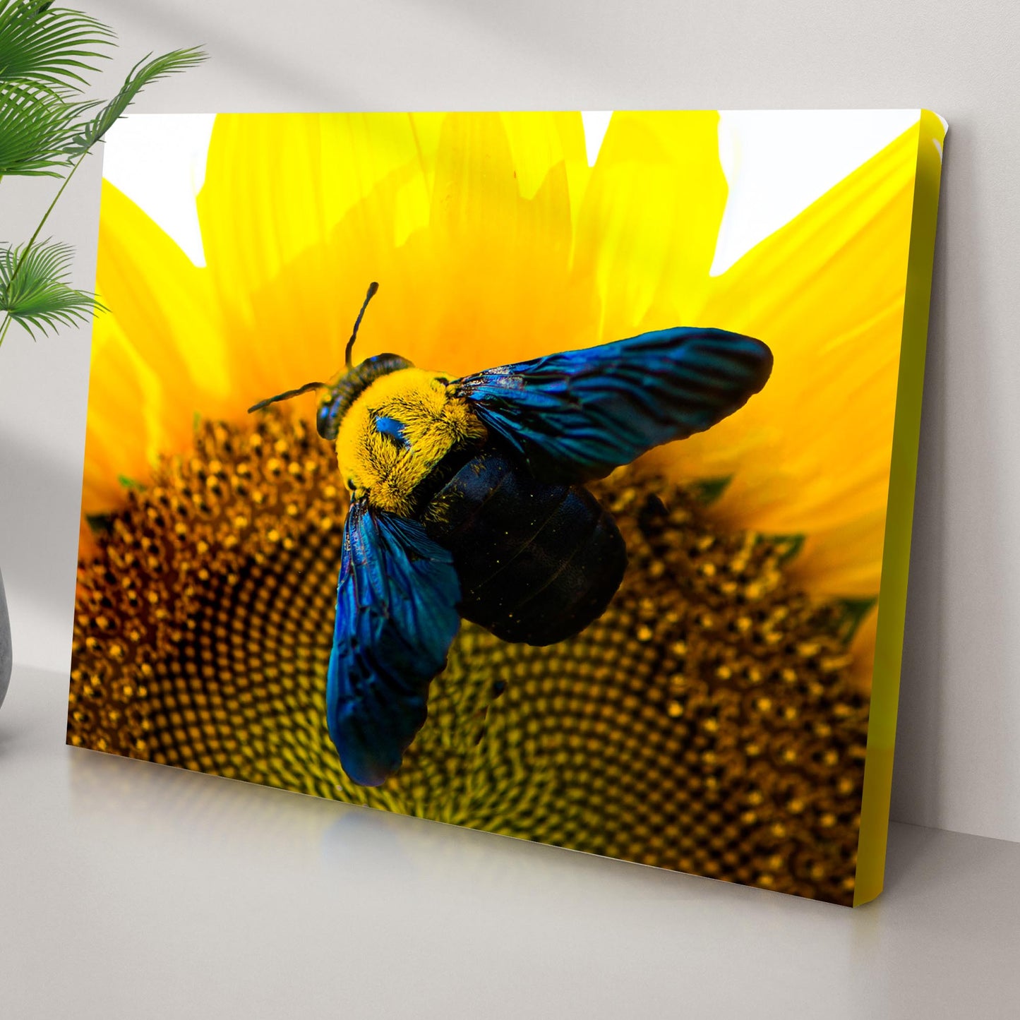 Bee and Hoverfly Above Sunflower Canvas Wall Art