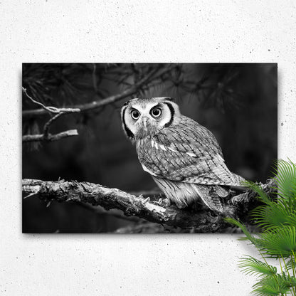 Black and White Owl Canvas Wall Art