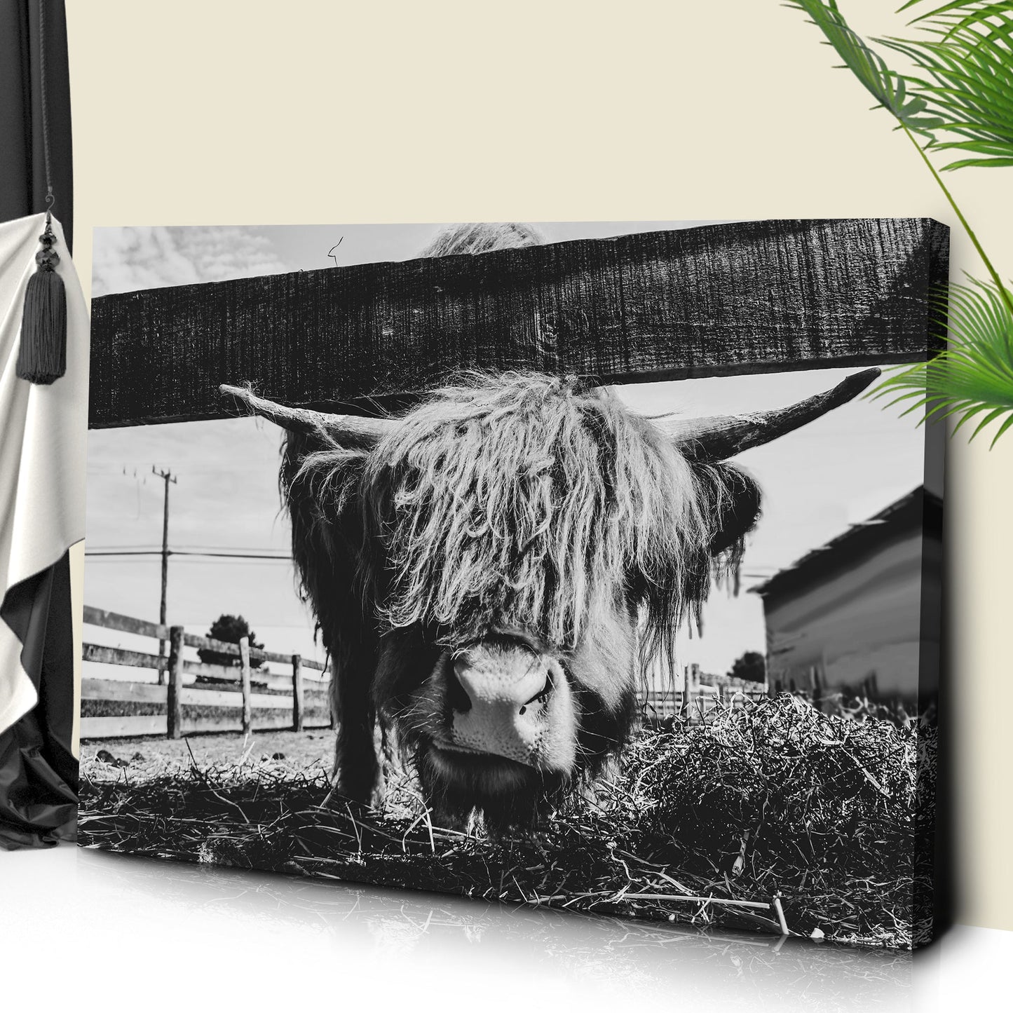 Highland Cattle Monochrome Canvas Wall Art