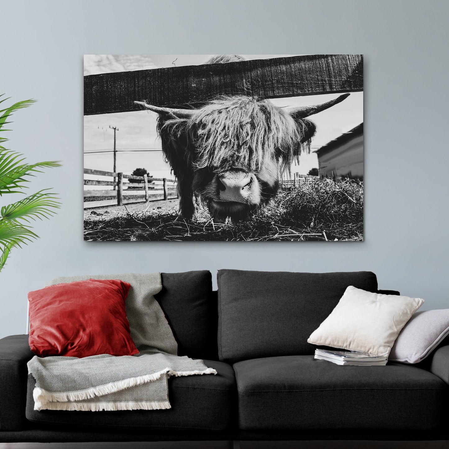 Highland Cattle Monochrome Canvas Wall Art