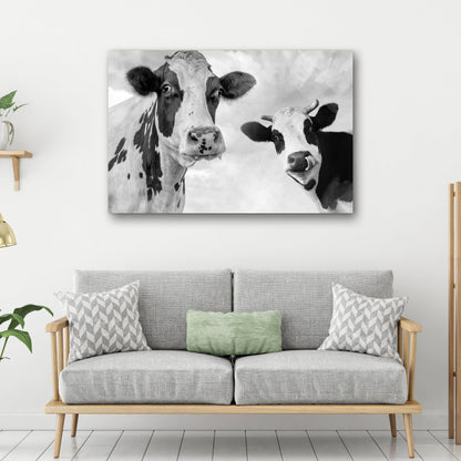 Holstein Cows Monochrome Canvas Wall Art