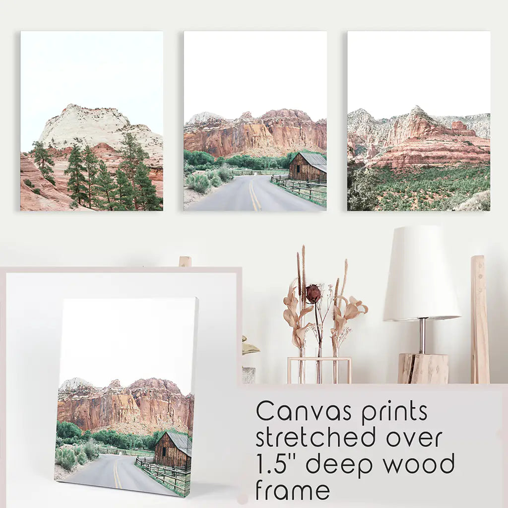 National Park Desert Wall Art Set of 3 Prints