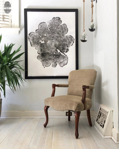 Western Red Cedar Tree Ring Woodcut Wall Art