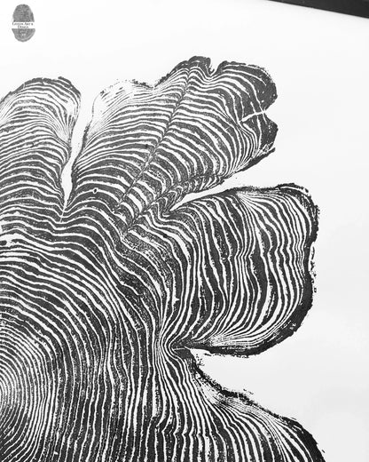 Western Red Cedar Tree Ring Woodcut Wall Art