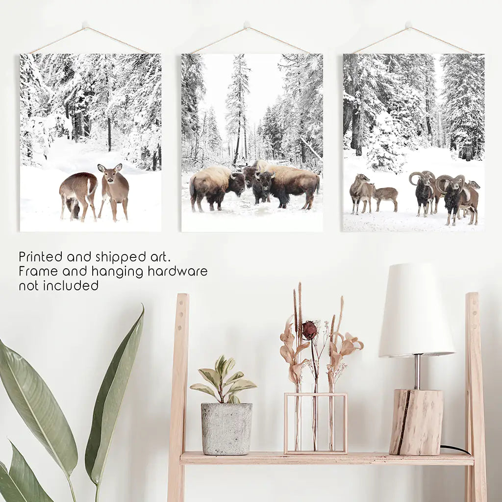 Winter Animals Wall Art Set of 3, Buffalo Deer Goat