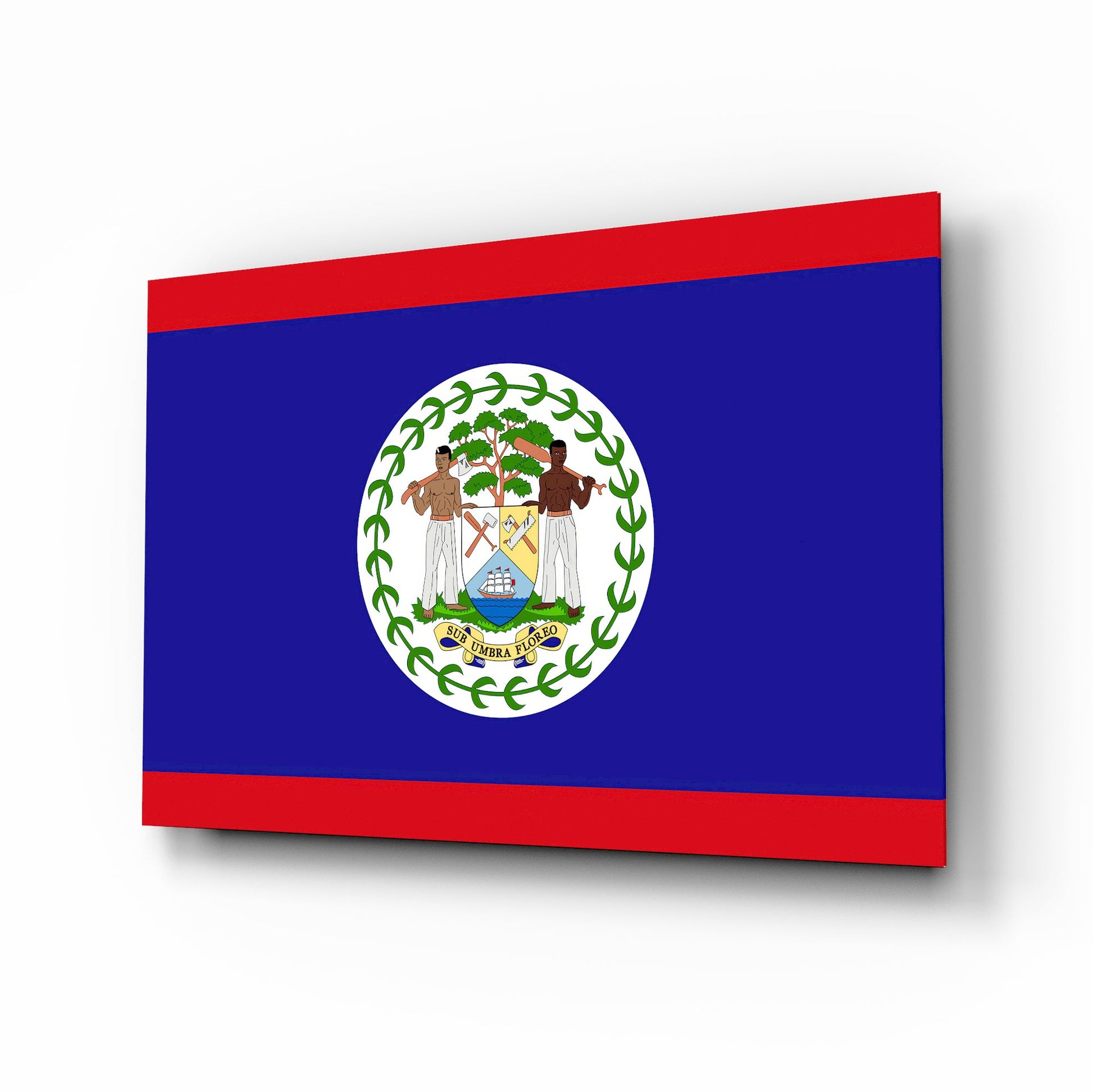 Belize flag glass wall art tempered glass print