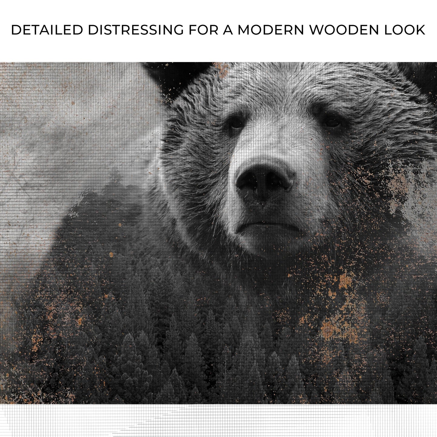 Forest Bear Canvas Wall Art
