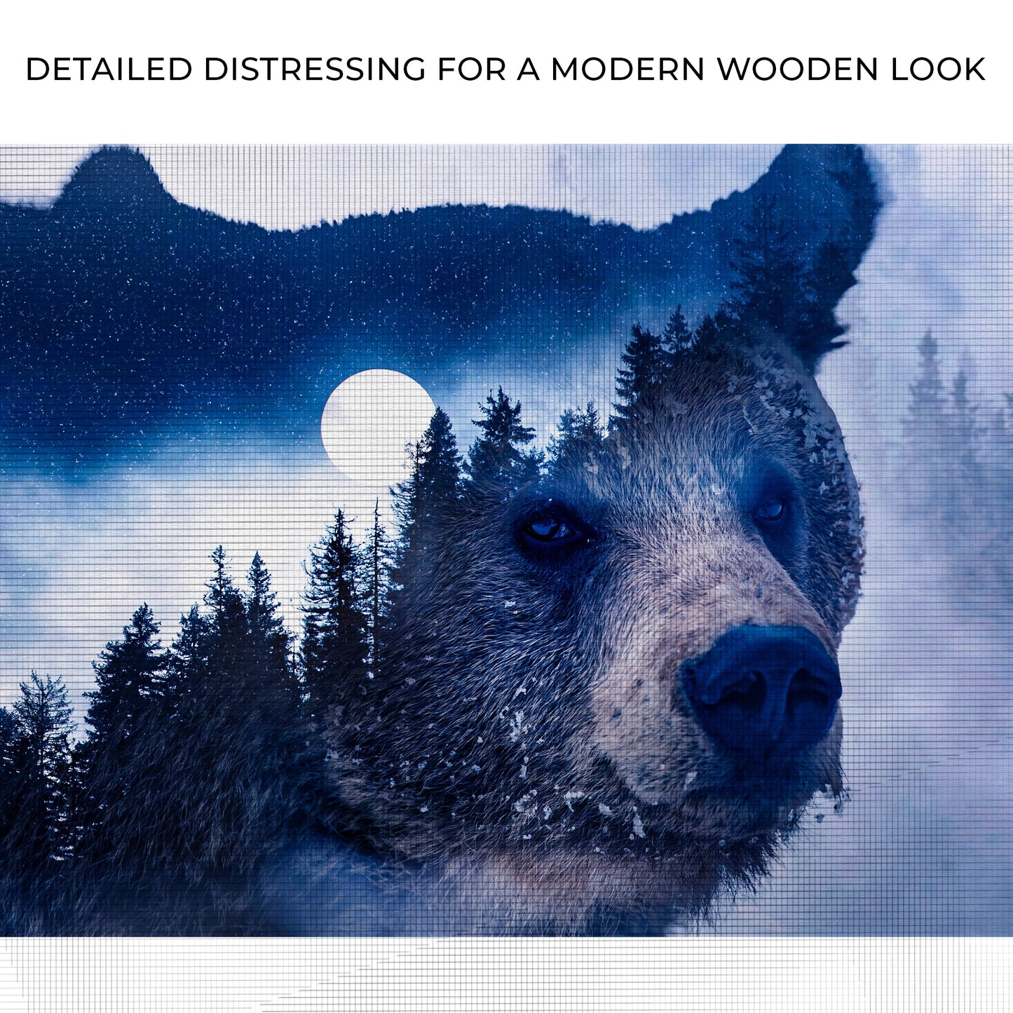 Forest Bear Illustration Canvas Wall Art
