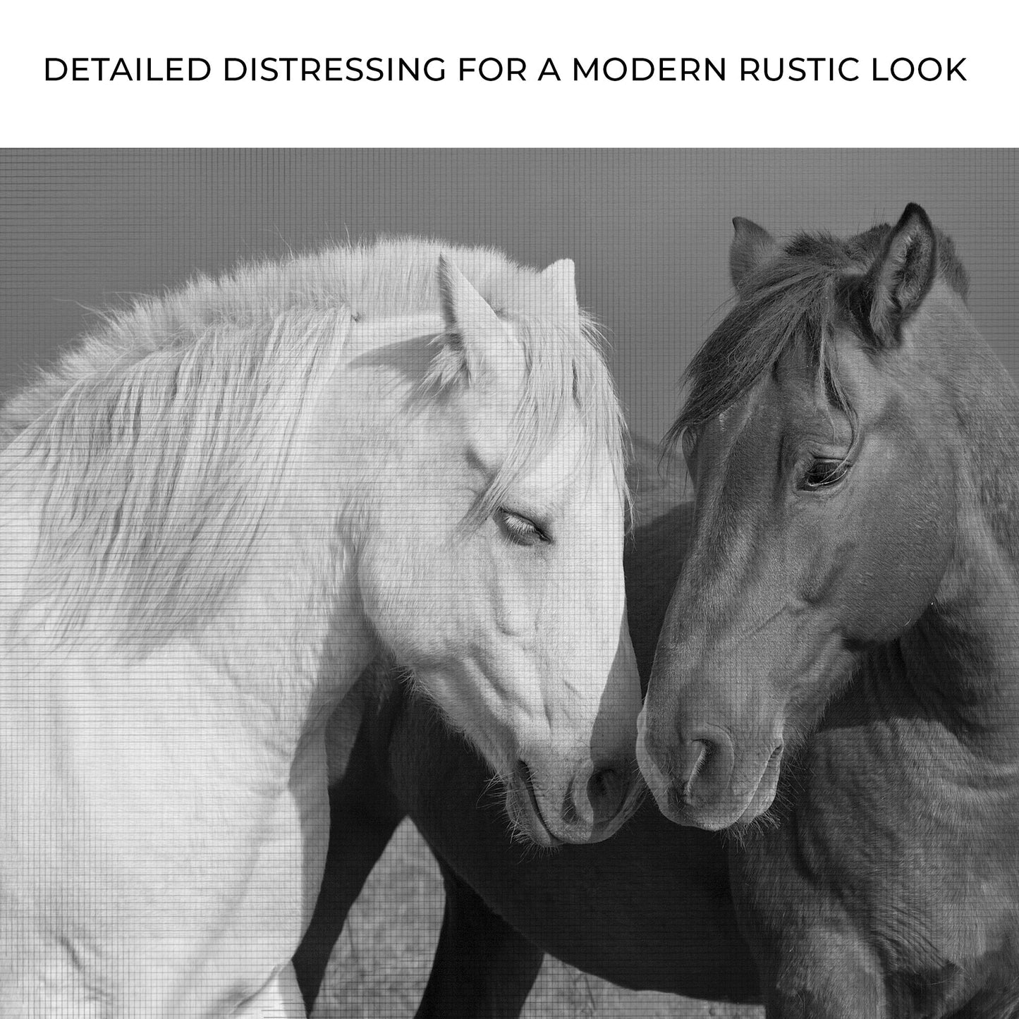 Horse Love Canvas Wall Art - Black and White Equestrian Print